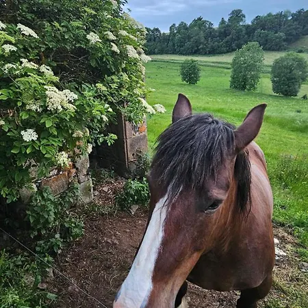 Un Petit Coin Paisible Bed & Breakfast *